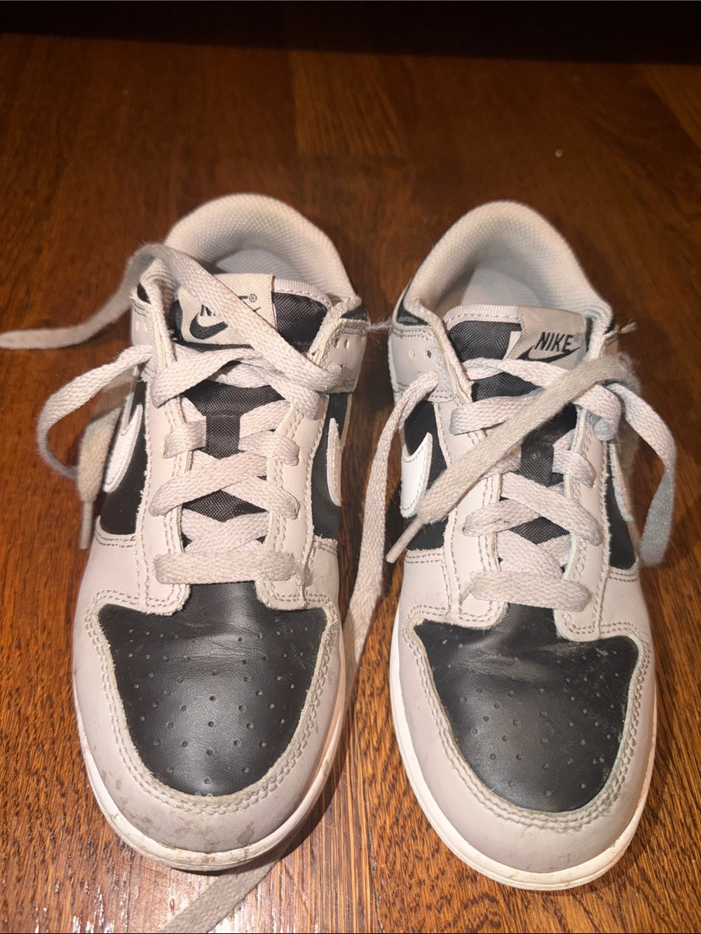 Nike Kids Low-Top Dunk Sneakers